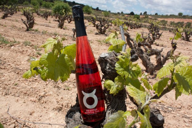 IMG_8101 Spanish Organic Wine Tarantas Sparkling Rose