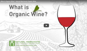 Organic Wine 101