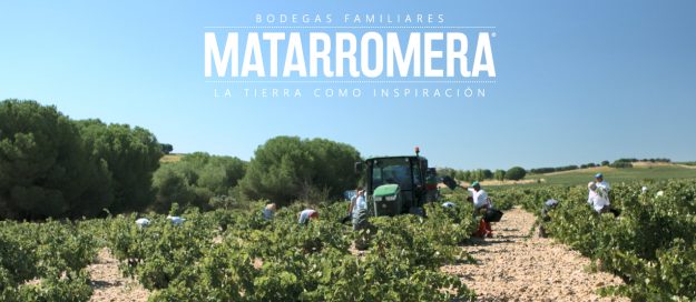 FOTO VENDIMIA GENERAL Spanish organic wine harvest