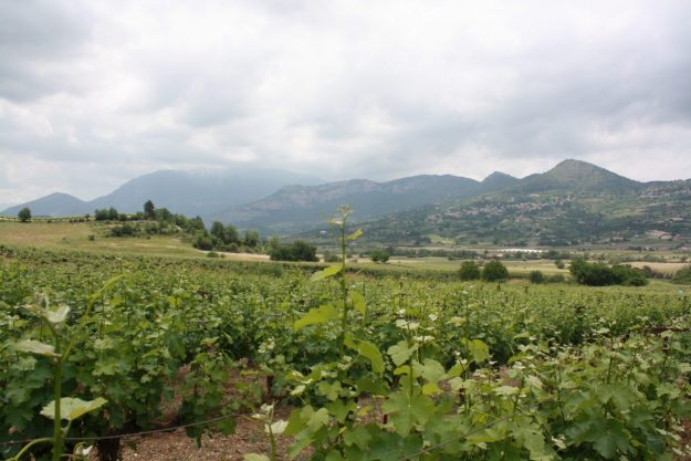 Domain Gioulis 2 Dry farned wines Domaine Gioulis