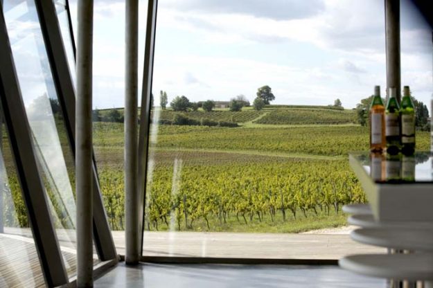 Best French Organic Wine