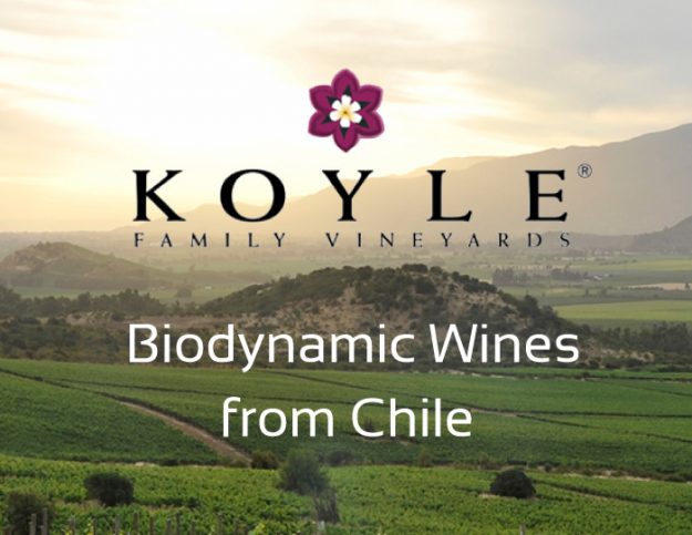 Biodynamic wines from Chile