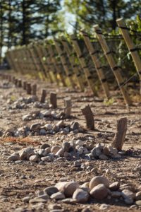 Altamira Biodynamics