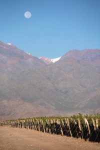 Biodynamics Moon - Inkarri Organic Wine