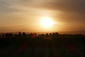 Inkarri Defining Natural Wine