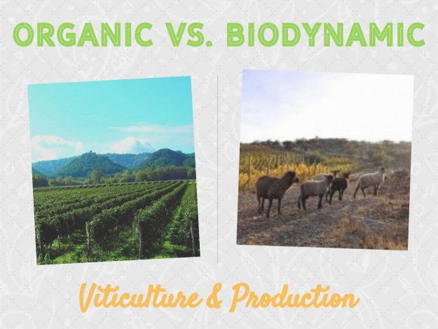 Organic Vs. Biodynamic