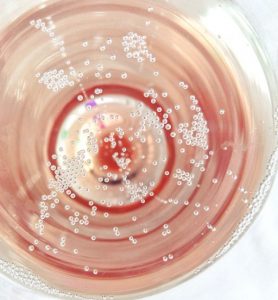 Pizzolato Rose Prosecco Glass
