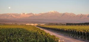 Inkarri Winery SO PURE NSA Red Wine