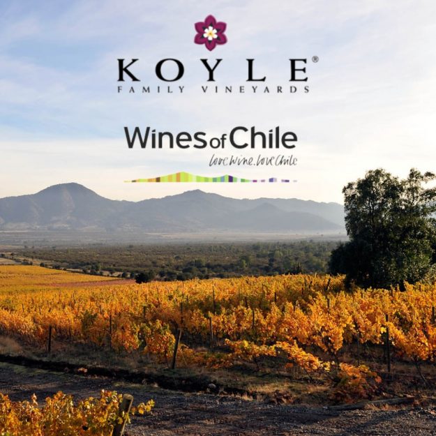 Koyle and Wines of Chile Vinka Koyle and Wines of CHile