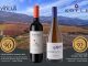 Vinous 90 Point Biodynamic Wines